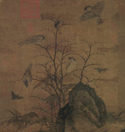 Wild Pheasants and Thorny Shrubs