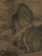 Wild Pheasants and Thorny Shrubs