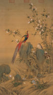 Beautiful Spring (Pheasants and Flowers)