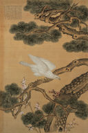 White Hawk, named Bai-hai-qing