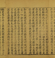 Mahabalagunadharani Sutra