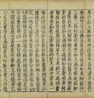 Mahasamnipatavadanaraja Sutra (Vol.1)