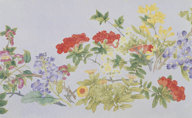 Flowers of an Immortal Garden