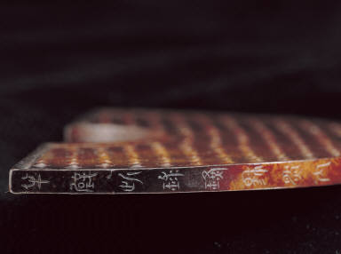 Segmented bi disk with grain pattern