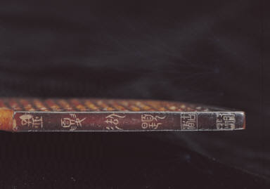 Segmented bi disk with grain pattern