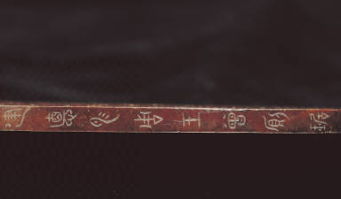 Segmented bi disk with grain pattern