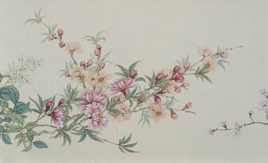 Flowers of the Four Seasons