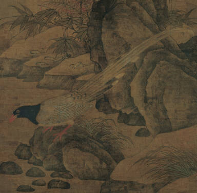 Wild Pheasants and Thorny Shrubs