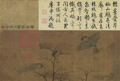 Wild Pheasants and Thorny Shrubs