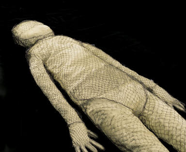 Silver filigreen netting