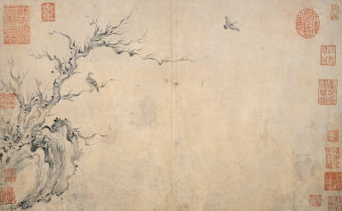 Old Tree by the Water