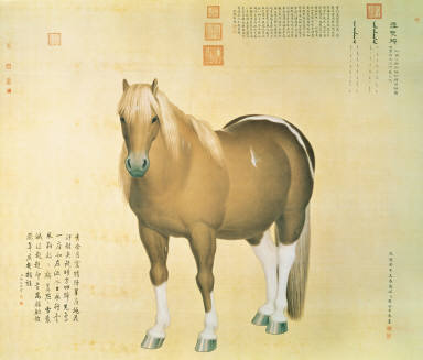 Ten Horses-Snowy Spot Hawk