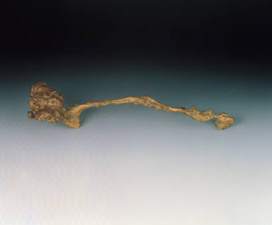 Birch ru-yi scepter with lingzhi-shaped headpiece