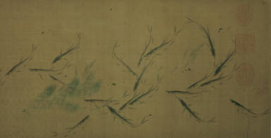 Fish and Aquatic Grasses