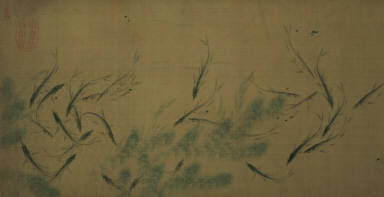 Fish and Aquatic Grasses