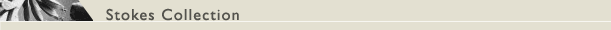 Stokes Collection
