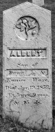 Ware, Albert