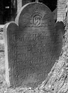 Brinckerhof, Remsen Heuis