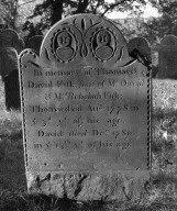 Fisk, Thomas; Fisk, David