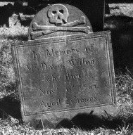 Wilson, David