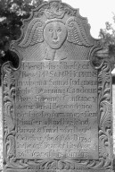 Hopkins, Rev. Samll.