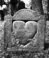 Carpenter, Mehetabel