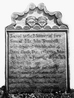 Trumbull, John; Trumbull, Timothy