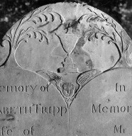 Tripp, Elizabeth; Tripp, Nathan