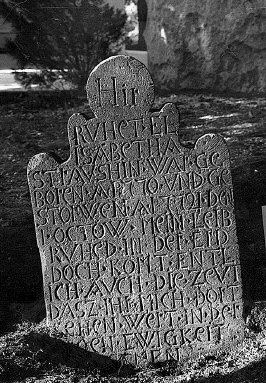 Stiaushin, Elisabetha