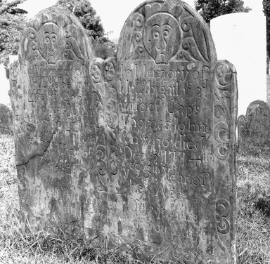 Johnson, Elisabeth; Johnson, Abigail