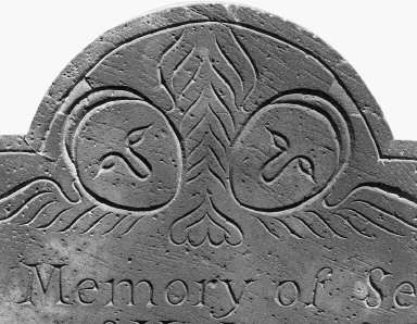 Montague, Seth; Montague, Seth