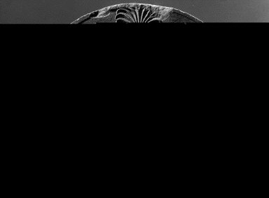 Brinckerhoff, Geertje