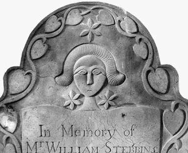 Stebbins, William