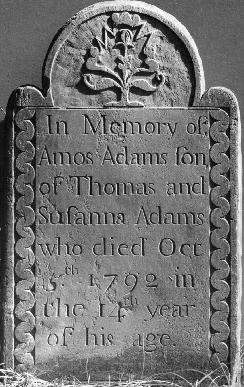 Adams, Amos