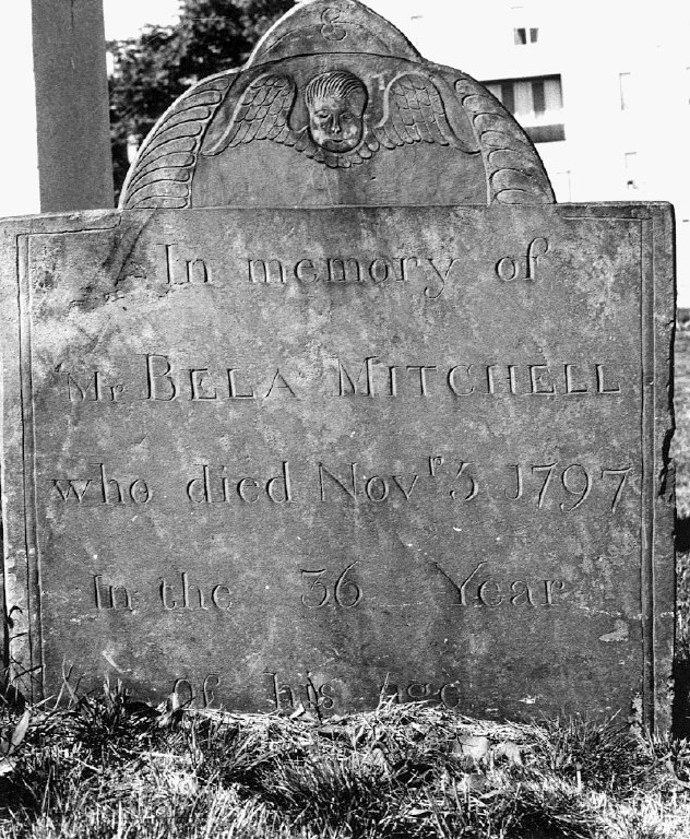 Mitchell, Bela