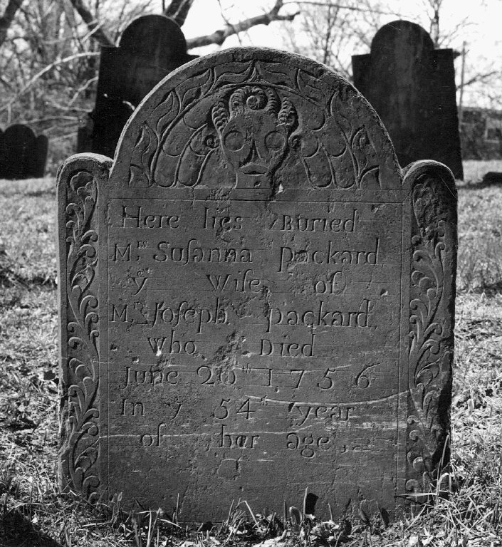 Packard, Susanna