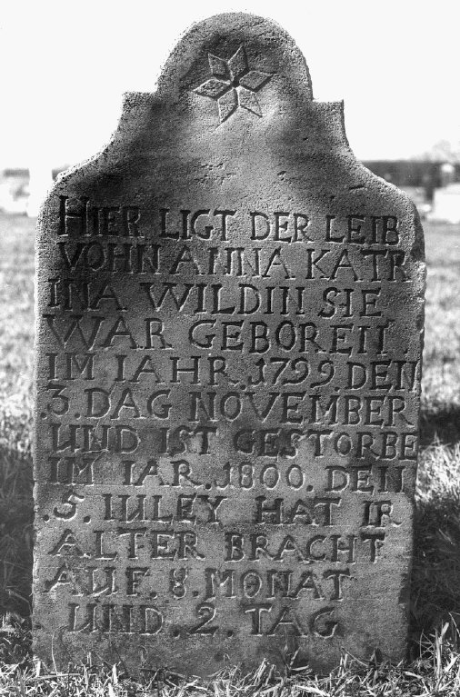 Wildin, Anna Katrina