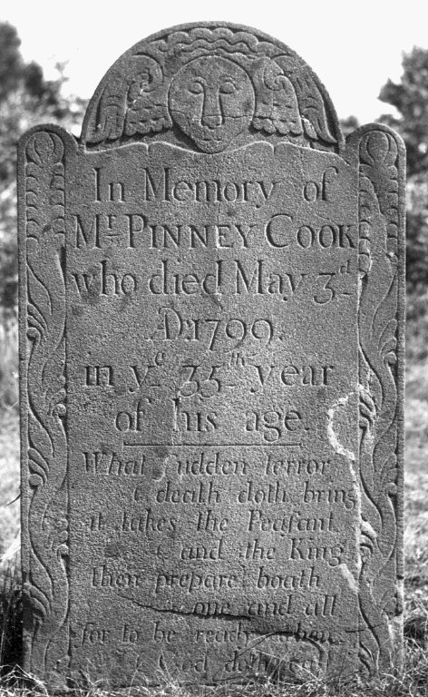 Cook, Pinney