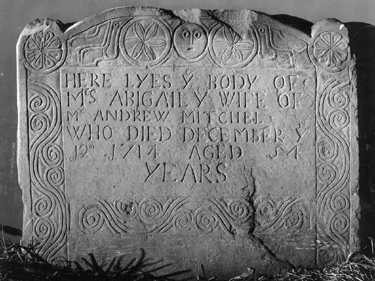 Mitchel, Abigail