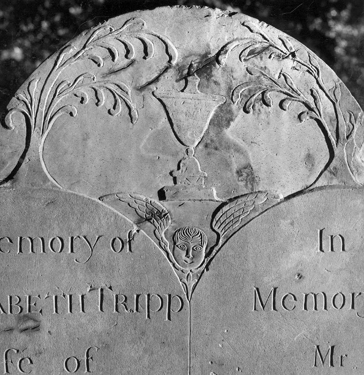 Tripp, Elizabeth; Tripp, Nathan