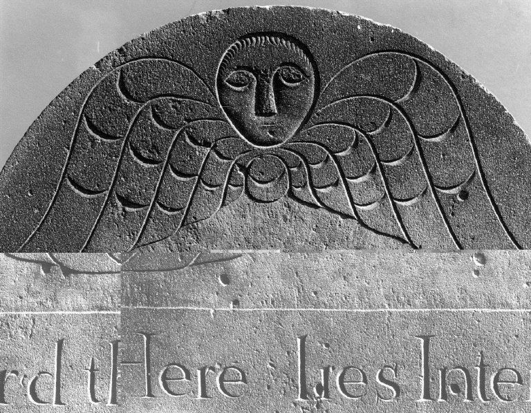 Le Roux, Sarah Van Wyck