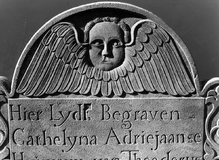 Van Wyck, Cathelyna Adriejaanse