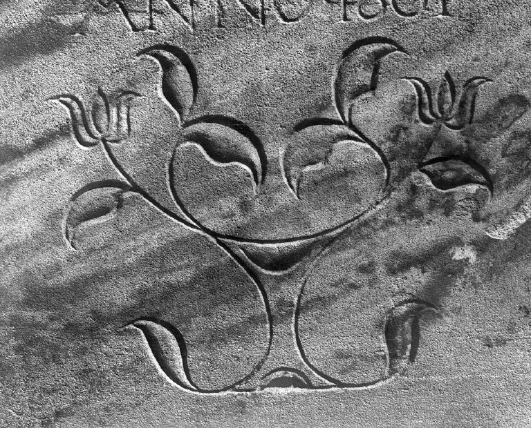 Schriwerin, Anamaria