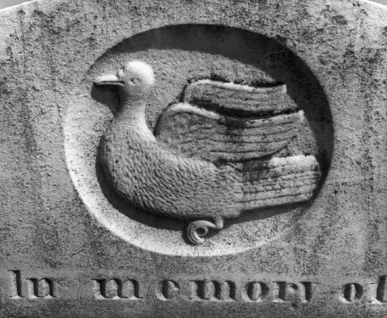 Willet, John