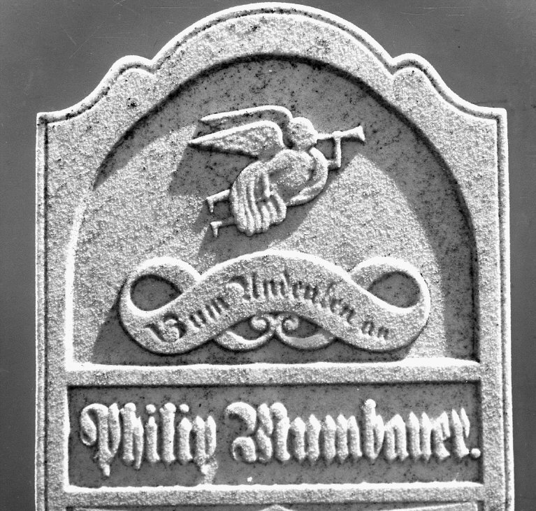 Blumbauer, Philip