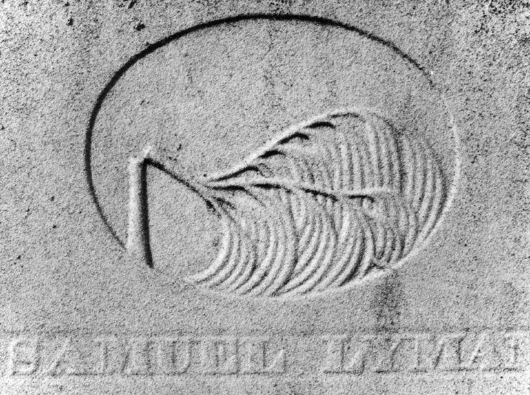 Clarke, Samuel Lyman