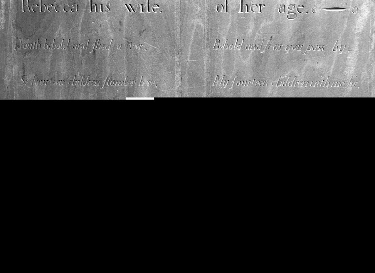 Park, Rebecca; Park, Thomas K. Jr.; Park, Infants