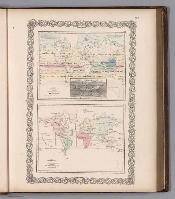 The World ... the Principal Features of Meteorology. The World ... Distribution of ... Plants.