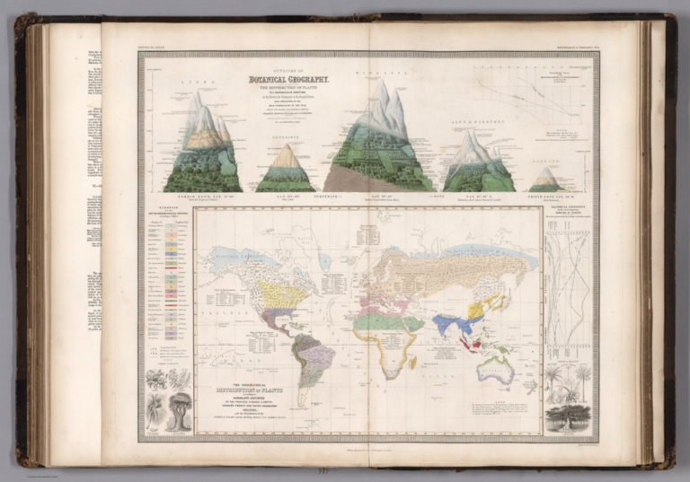 Geographical Distribution of Plants. Distribution of Plants in a Perpendicular Direction.