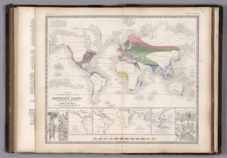 Geographical Distribution and Cultivation of the Most Important Plants which are used for Food for Man.
